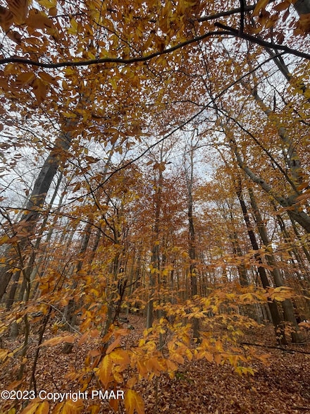 0 Creole Trail, Coolbaugh Township, PA 18347