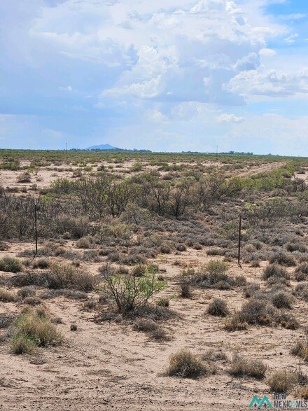 XXXX Rd NE, Deming, NM 88030