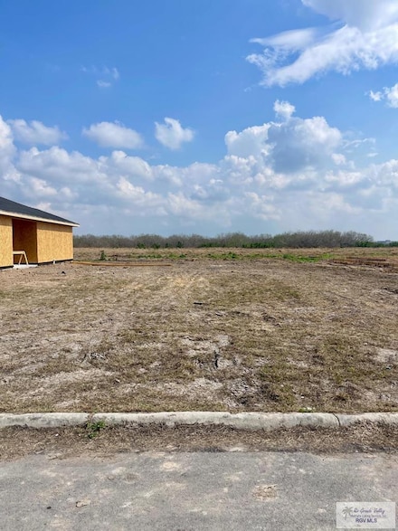 0 Escondido Ln Unit 29762863, Harlingen, TX 78550