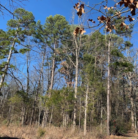 Lot 4 Thelma St, Heber Springs, AR 72543
