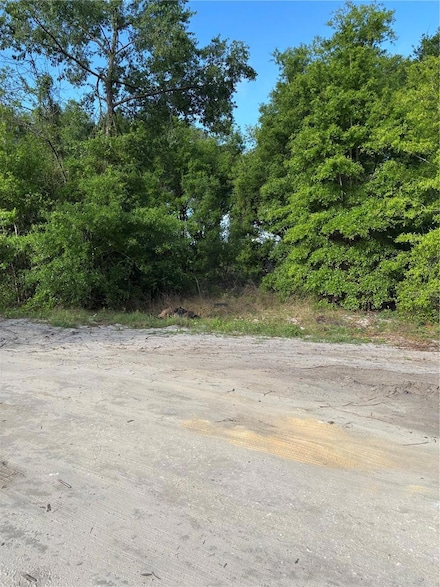 0 SE 36th Ct, Summerfield, FL 34491