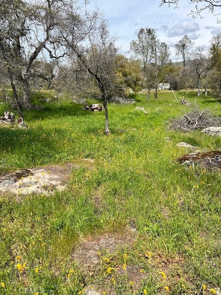0 Lot 895 John Muir Dr, Yosemite Lakes, CA 93614
