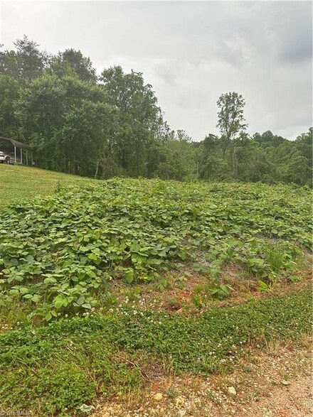 Lot 27 November Ln, Mount Airy, NC 27030