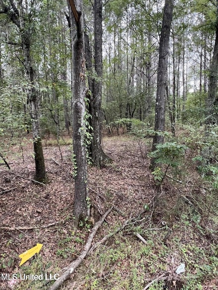 00 Dunn Rd, Terry, MS 39170