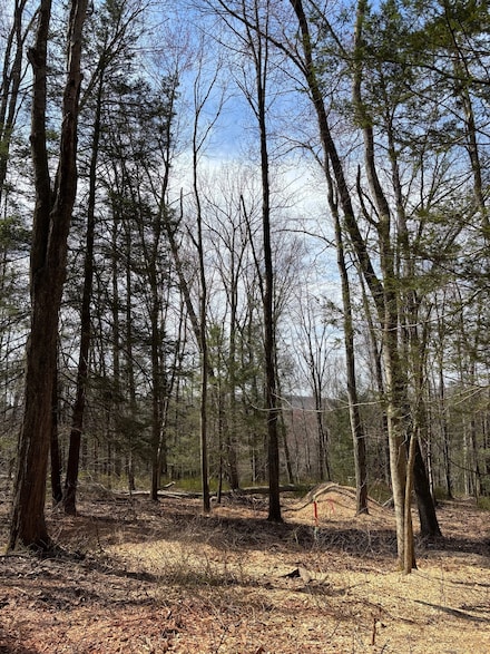 Lot 00 Chalybes Rd W, Roxbury, CT 06783
