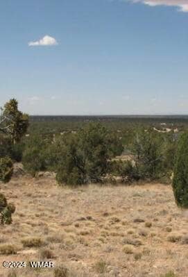 0 111-12-004b Chevelon Unit 250891, Heber, AZ 85928