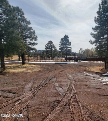9591 Porter Mountain Rd, Pinetop-Lakeside, AZ 85929