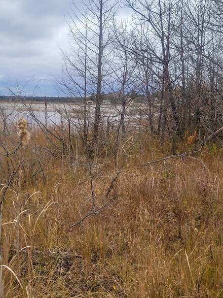 0 S Partridge Point Rd Unit 201827461, Alpena, MI 49707