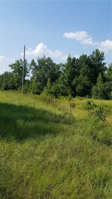 00 Al Highway 199, Tuskegee, AL 36083