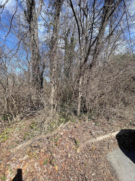 Lot 100 Geneva Ln, Morristown, TN 37813