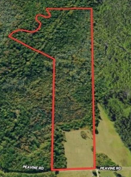 0 Peavine Rd, Pocahontas, TN 38061
