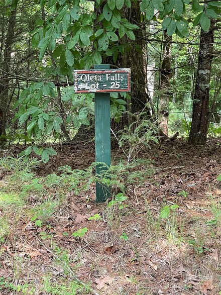 #25 Oleta Mill Trail, Dana, NC 28792