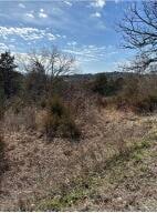 0 Blue Water Dr Unit 148624, Beaver Township, AR 72631