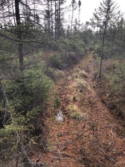 0 Swamp Rd, Merrill, WI 54452