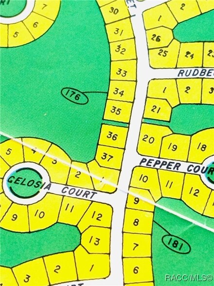 43 Lone Pine St, Sugarmill Woods, FL 34446
