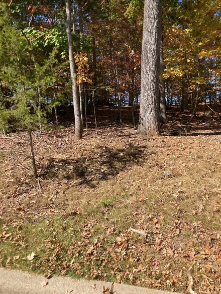 Lot 37 Wood Lomond Way Unit Residential Lot 37, Huntington, WV 25705