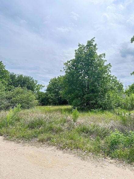 136A Wild Bird Loop, Smithville, TX 78957