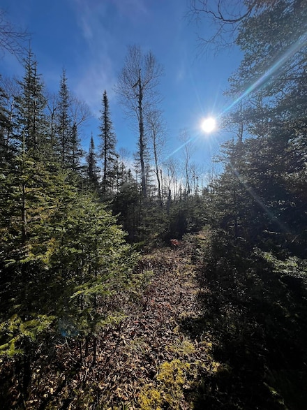 4331, Two Harbors, MN 55616
