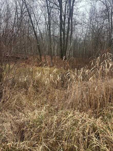 TBDxx Lake Camile Dr, Randall, MN 56475