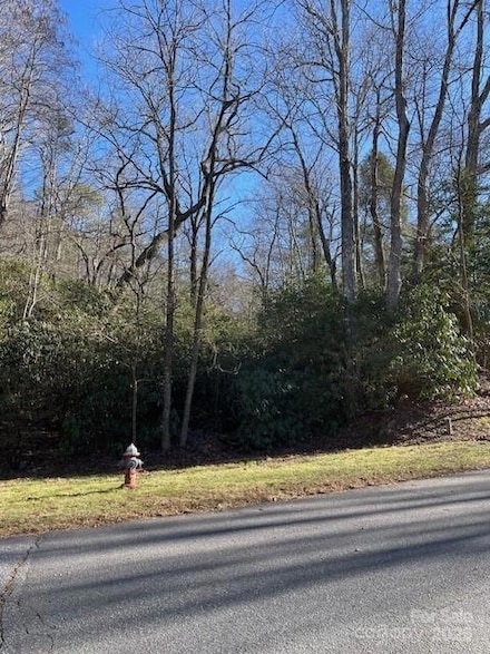 M12R Elk Mountain Trail Unit M12R, Brevard, NC 28712