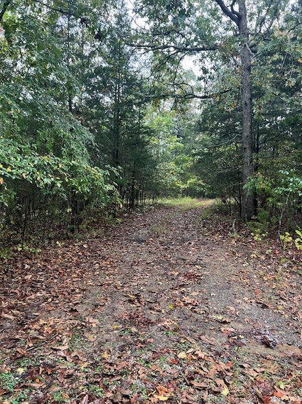 00 Old Highway 42 S, Byrdstown, TN 38573