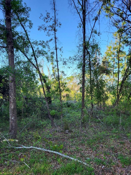 Lot 22 Canopy Ln, Perry, FL 32347