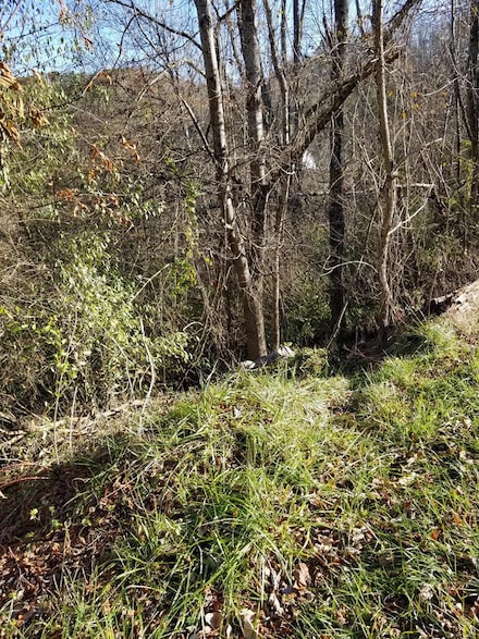 1470 Stone Coal Rd, Grundy, VA 24614