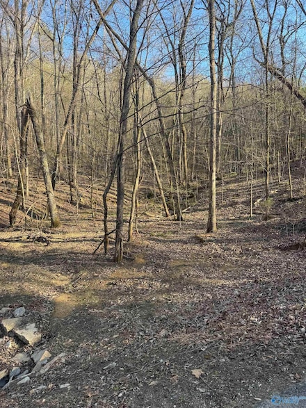 13 Sibert Dr, Glencoe, AL 35905