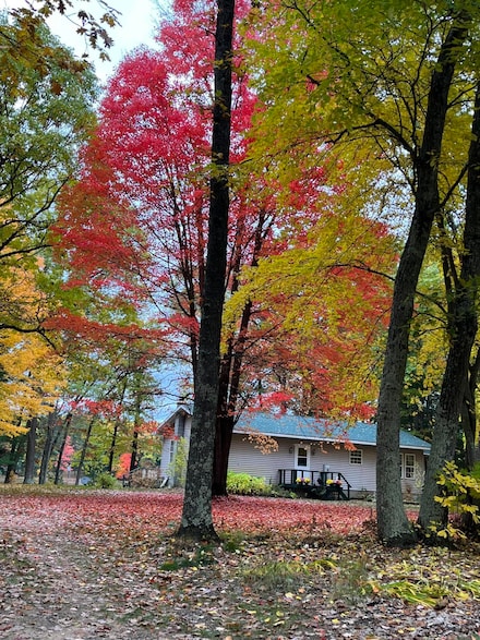17924 Round Lake Rd, Wellston, MI 49689