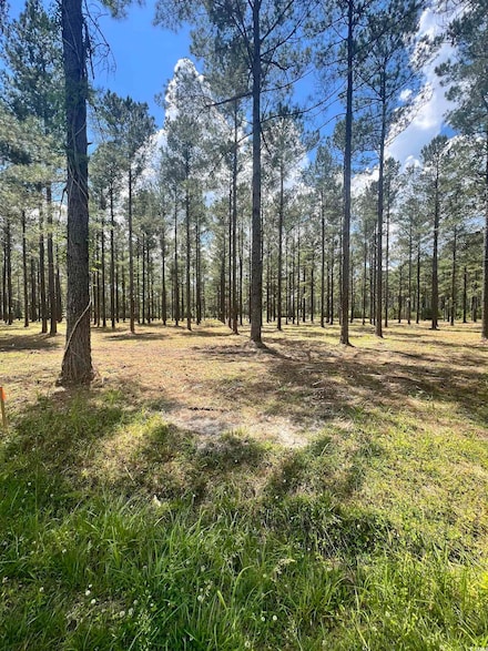Lot 2 Ashley Cir, Conway, SC 29526