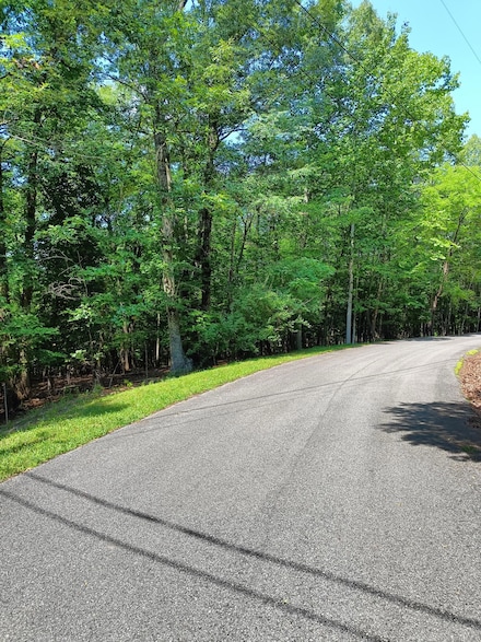 Lot 59 Old Barn Rd, Moneta, VA 24121