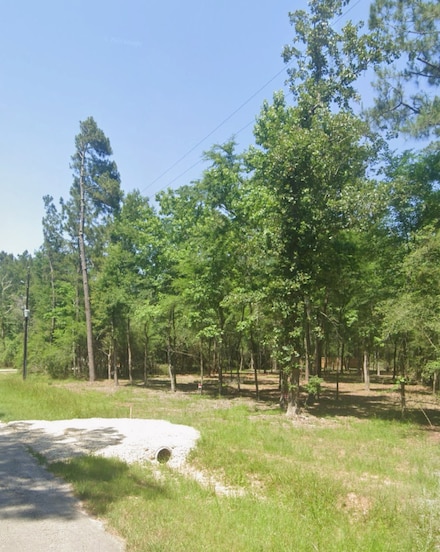 1584 Briar Grove St, Magnolia, TX 77354