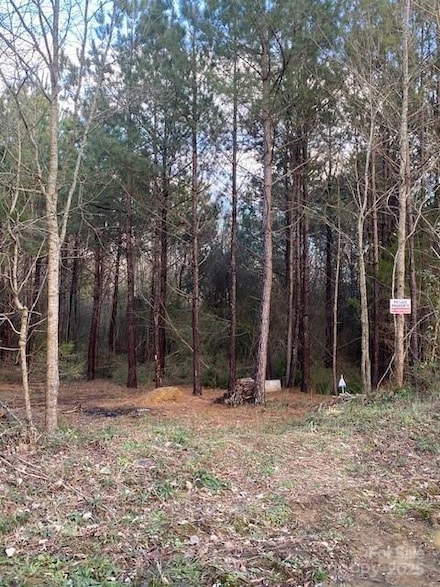 0 Dudley Church Rd, Pageland, SC 29728