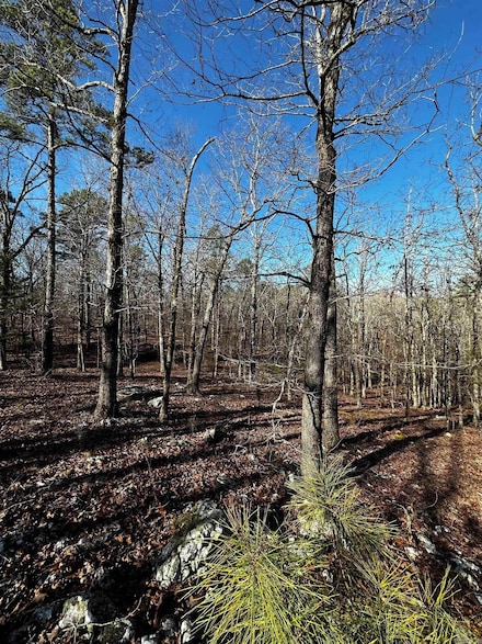 00 Squirrel Rd Lot A, Alexander, AR 72002