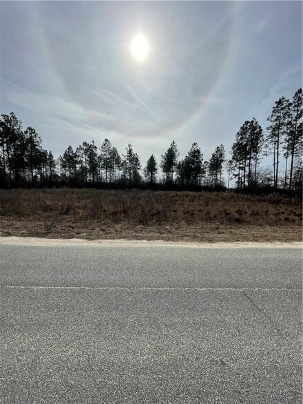 Lot 39 Stanfield Cir, Blackshear, GA 31516