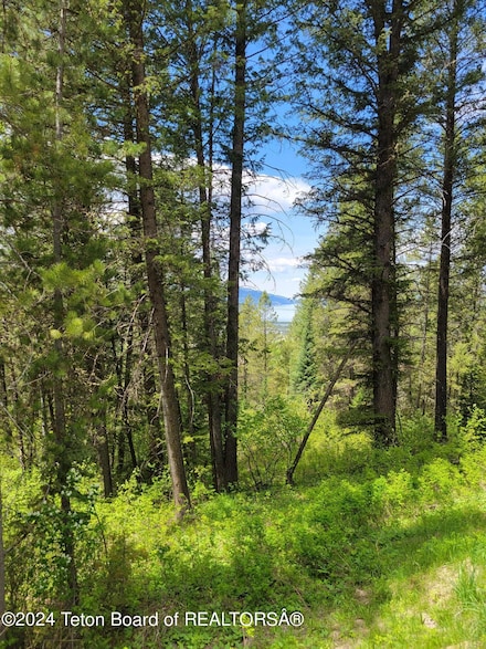 22 Trail Ridge Rd, Alpine, WY 83128