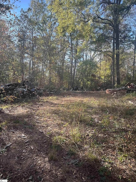 00 Round St, Laurens, SC 29360