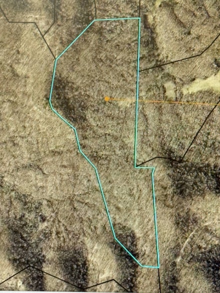 866 Block Jones Creek, Bradsfordsville, KY 40009