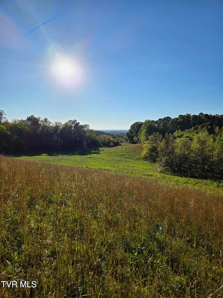 TBD Baileyton Rd, Afton, TN 37616