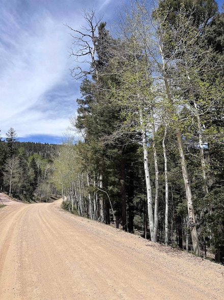 Lot 832 Via Del Rey, Angel Fire, NM 87710
