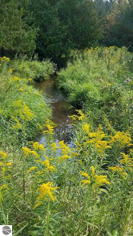 0 Ogemaw Center Rd Unit 1806144, Rose City, MI 48654