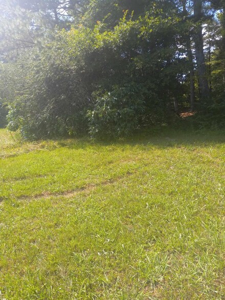 0 Holmes Rd, Falkville, AL 35622