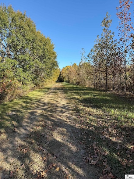 000 Thomas Rd, Rayville, LA 71269