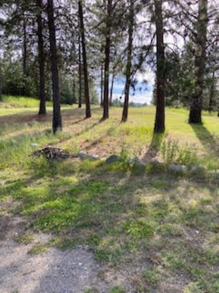 108 S Main St, Springdale, WA 99173