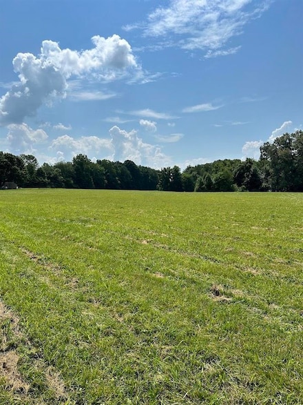 387 C W Jones Rd, Scottsville, KY 42164