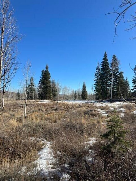 0 E Whispering Pines Rd Unit 25-262484, Virgin, UT 84779