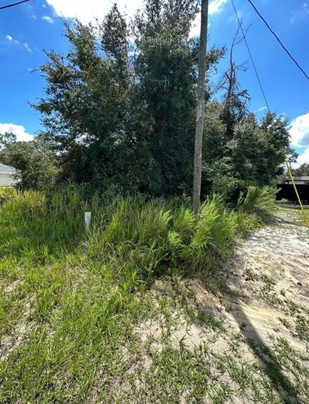 00 Elm Loop, Ocala, FL 34472