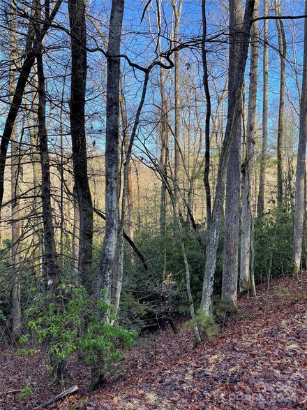 000 Old Ccc Rd, Hendersonville, NC 28739