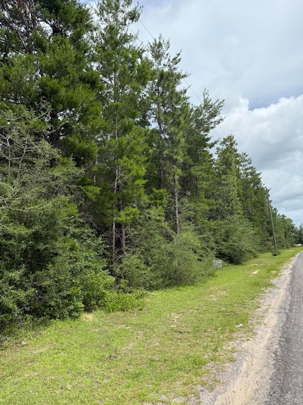 Lots 1-4 Watson Rd, Defuniak Springs, FL 32433