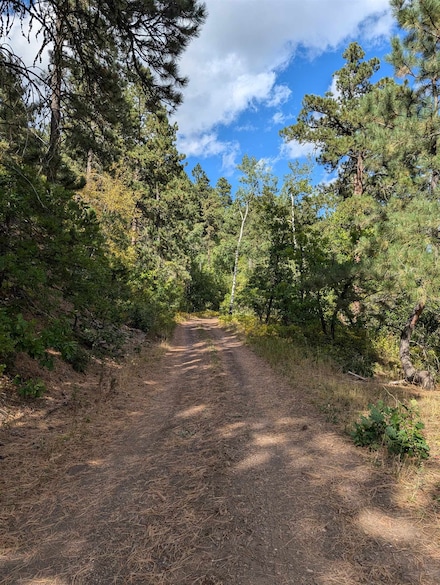 TBD Nevada Gulch Rd, Lead, SD 57754